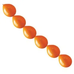 4 Het Moment Haaraccessoire Oranje