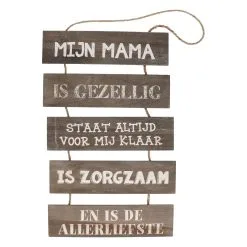 Wauw Houten Tuinladder Met Tekst “In Papa’s Schuur”