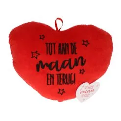 Wauw Houten Bord Na Regen