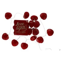 Wauw Dromenvanger Wit Gehaakt Ibiza 5 Wauw Dromenvanger Wit Gehaakt Ibiza -Lynn Dame Lichtsnoer hartjes 1