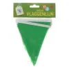 4 Het Moment Slinger “waaier Vorm” 4 Meter -Lynn Dame Vlaggenlijn groene 12 vlaggen ca 3m