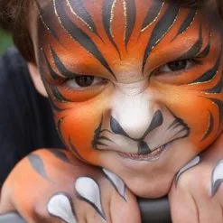 Superstar Dream Colours Safari -Lynn Dame tijger